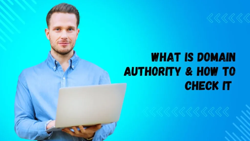 check a website domain authority